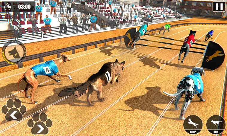 Cách Chơi Game Nhanh Đua Chó Tại VN88 Dễ Thắng Nhất